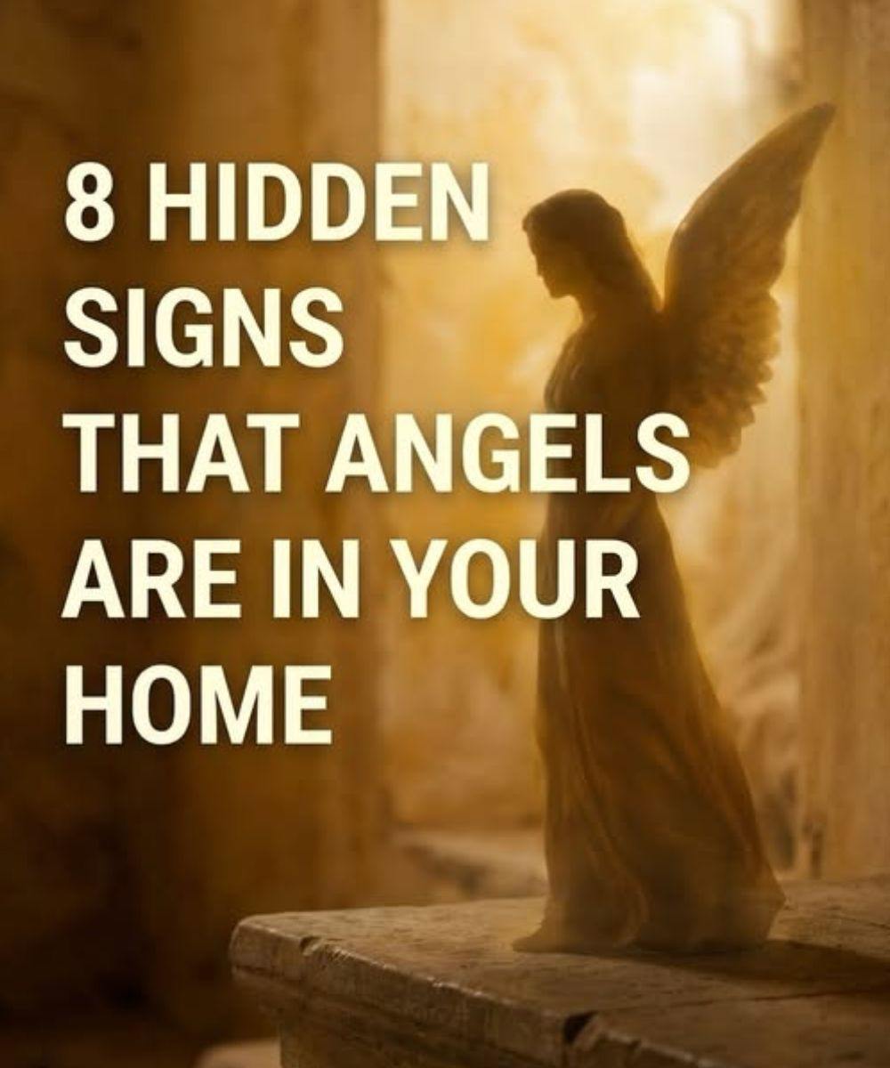 8 Gentle Signs Some Believe Angels May Be Near Your Home
