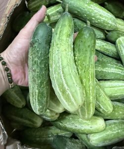 Az orvosok elmondják, hogy az uborka salátájában fogyasztása...