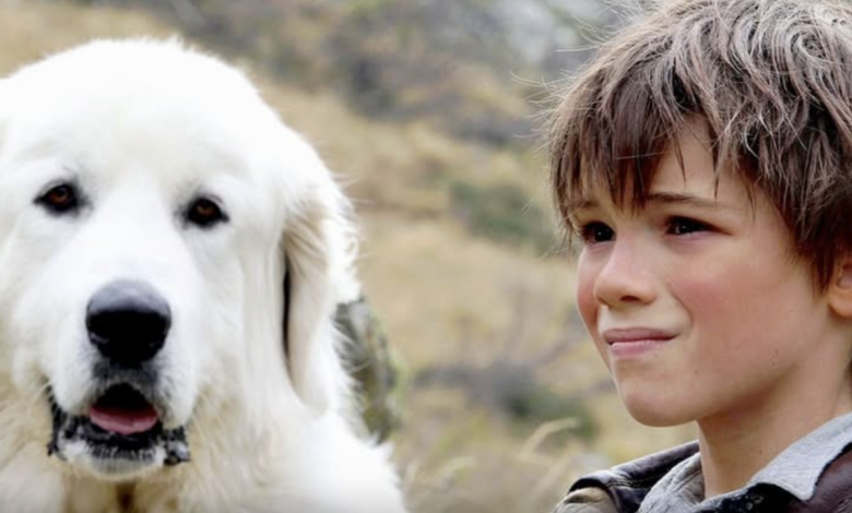 Tchéky Karyo: Egy francia filmes legenda távozása