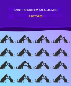 Találd meg azt, amelyik nem illik hozzád, és eddzd az agyad, mint egy mester