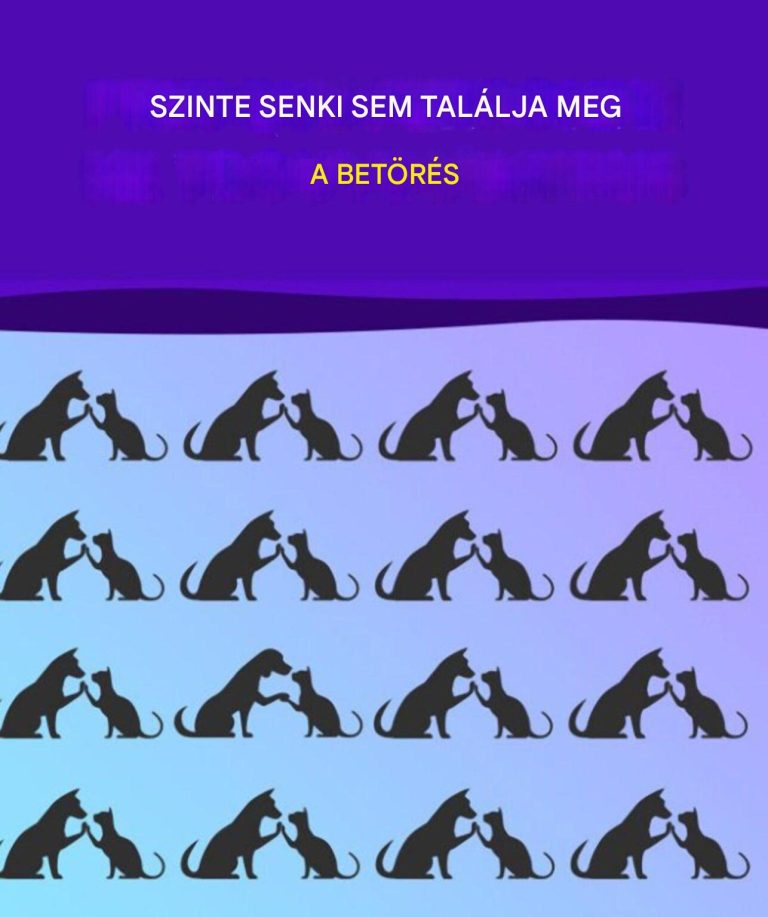 Találd meg azt, amelyik nem illik hozzád, és eddzd az agyad, mint egy mester