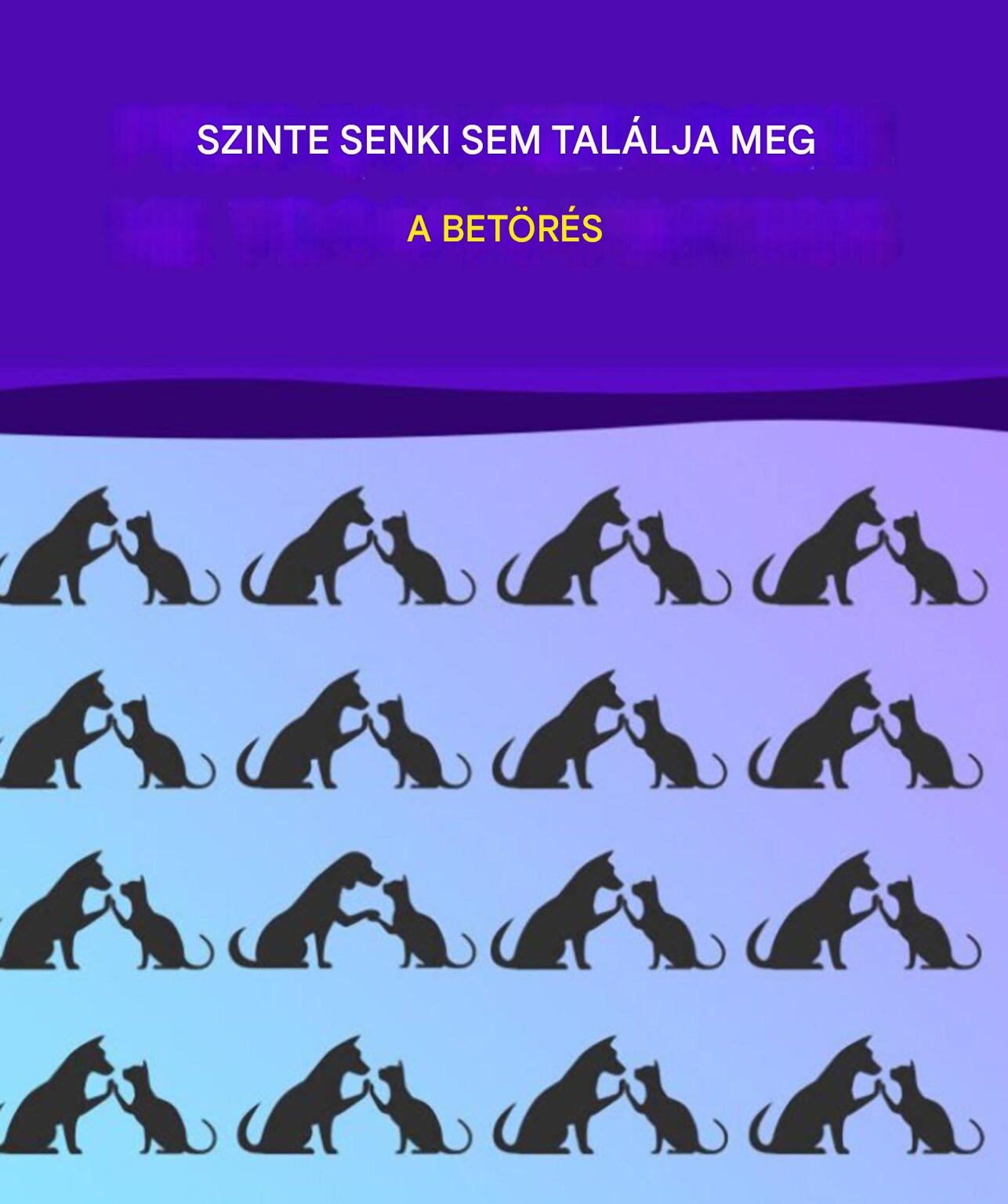 Találd meg azt, amelyik nem illik hozzád, és eddzd az agyad, mint egy mester